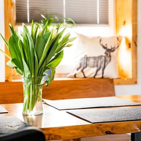 Neu Renoviertes Ferienhaus/Wohnunng Kleine Auszeit Sonnenbühl Kültér fotó