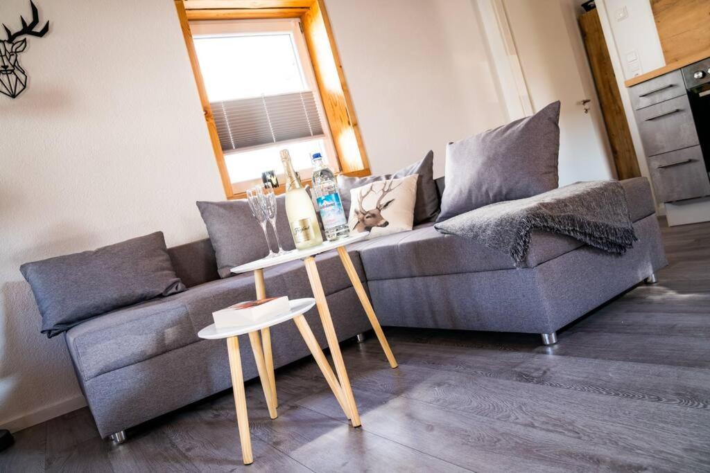 Neu Renoviertes Ferienhaus/Wohnunng Kleine Auszeit Sonnenbühl Kültér fotó